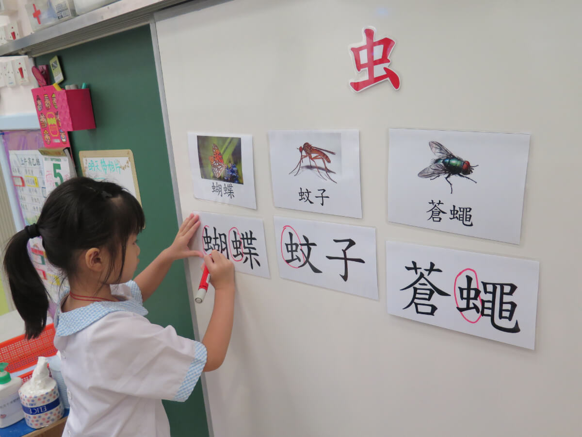 中文教學重點：語法、語素、詞語、句子、識字、閱讀、語音