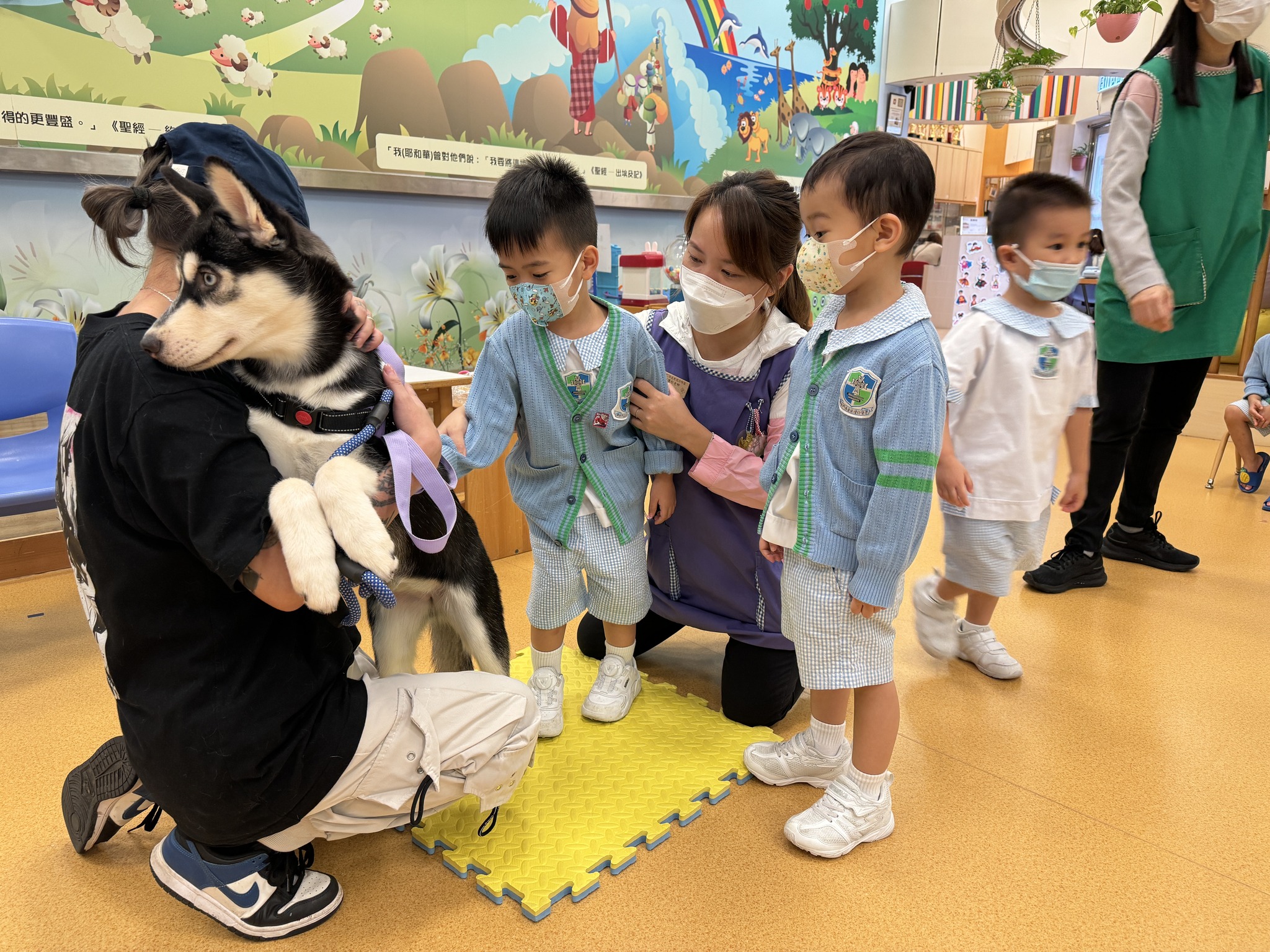 484438482_640994972193234_1544032773855622086_n